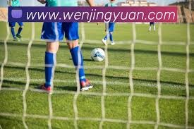 韩国世界杯首战逆转捷克 黄仁范助攻吴贤揆破门